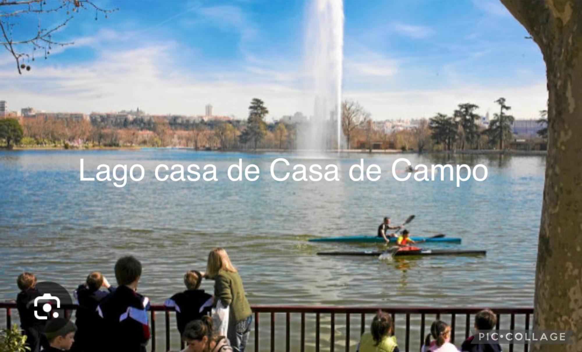 Luxury Flat City Center Full Equipe Non Touristic Madrid Exteriör bild